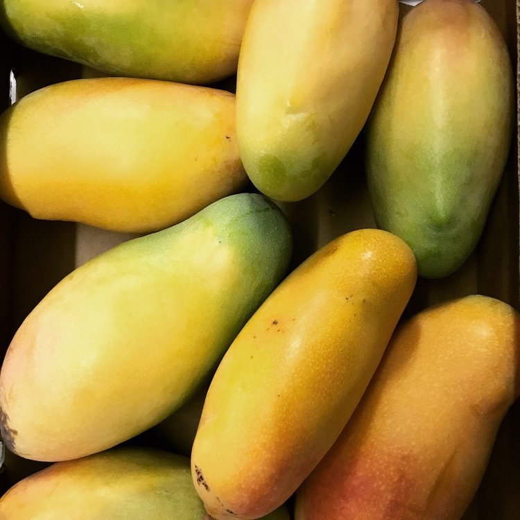 The Keitt Mango from North Shore brings the taste of paradise to the CFM!